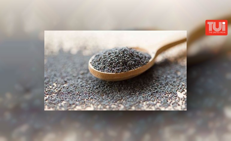 ​বিশেষজ্ঞরা জানাচ্ছেন, পোস্তোর অনেক গুণের (Poppy Seeds Health Benefits) পাশাপাশি, হার্ট ভাল রাখতেও এর কোনও জুড়ি নেই|
